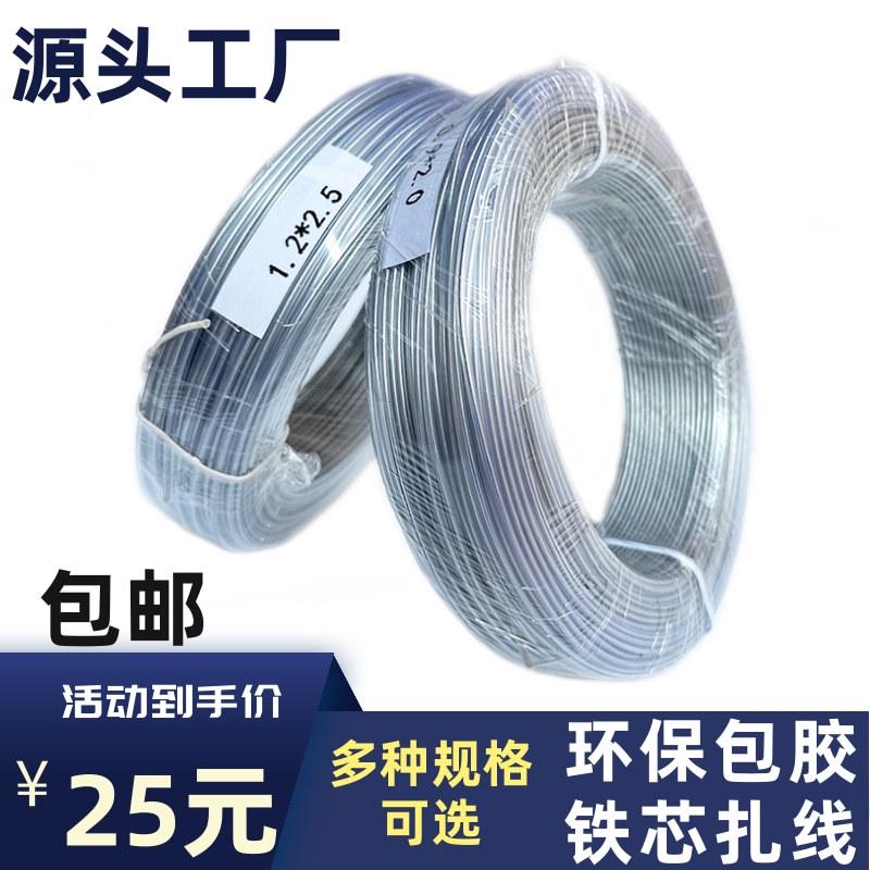 透明PVC塑料扎线圆型包胶铁丝环保镀锌铁扎丝园林玩具铁芯扎带