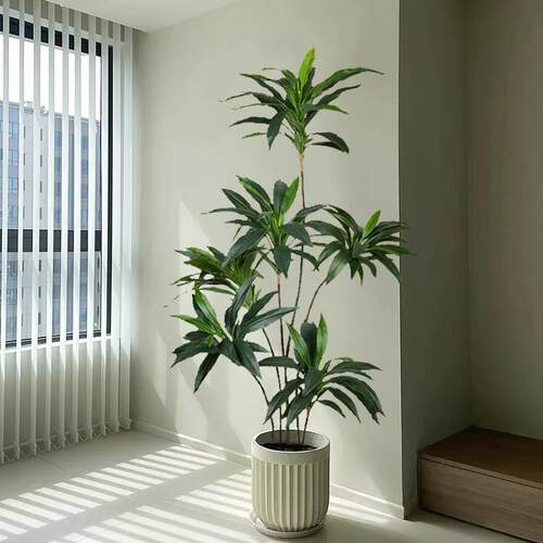 直销仿真盆栽天鹅绒大型落地绿植巴西木朱蕉室内装饰造景摆件植物