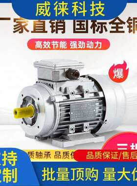 议~电机380V三相YS铝壳1400转90120w180W250W370W750WKW马达马达