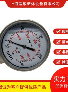 不锈钢超高压防震压力表250MPA。径向外螺纹2500BAR公斤轴向G1/2