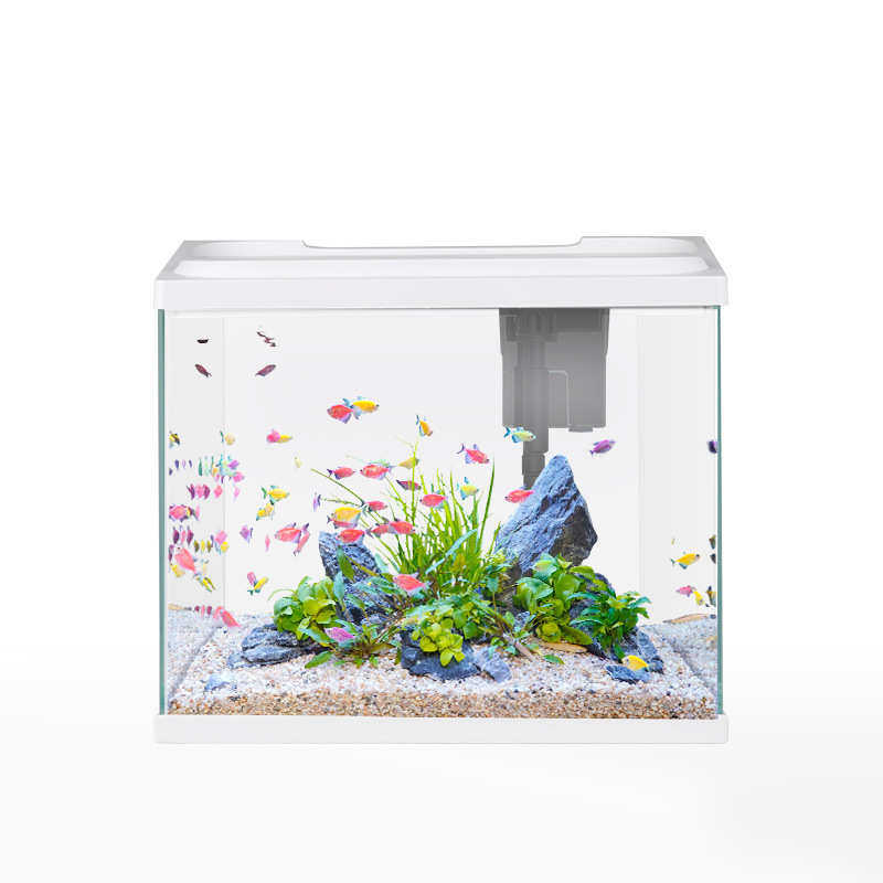 佳璐小型鱼缸玻璃家用客厅办公室桌面生态懒人免换水金鱼缸水族箱,宠物/宠物食品及用品,桌面缸,淘宝优惠券,粉丝福利购,淘宝优惠卷