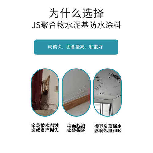 双虹阳台卫生间屋面防水补漏聚合物防水 JS聚合物水泥基防水涂料