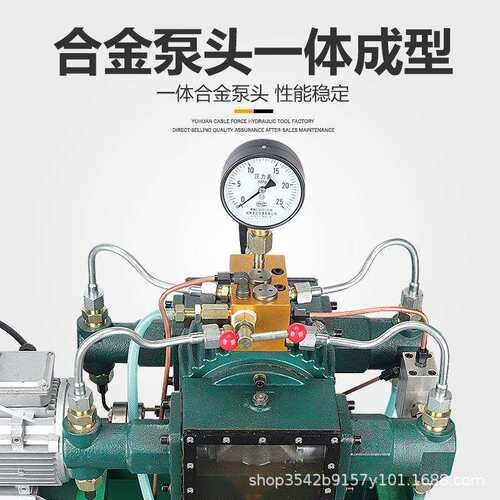 电动试压泵4DSY25-1000公斤管道试压机四缸高压水管打压机打压泵