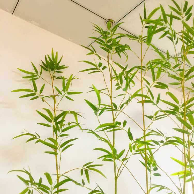 竹子造景装饰假竹子植物隔断挡墙酒店家庭庭院仿生竹子竹叶装饰品图片