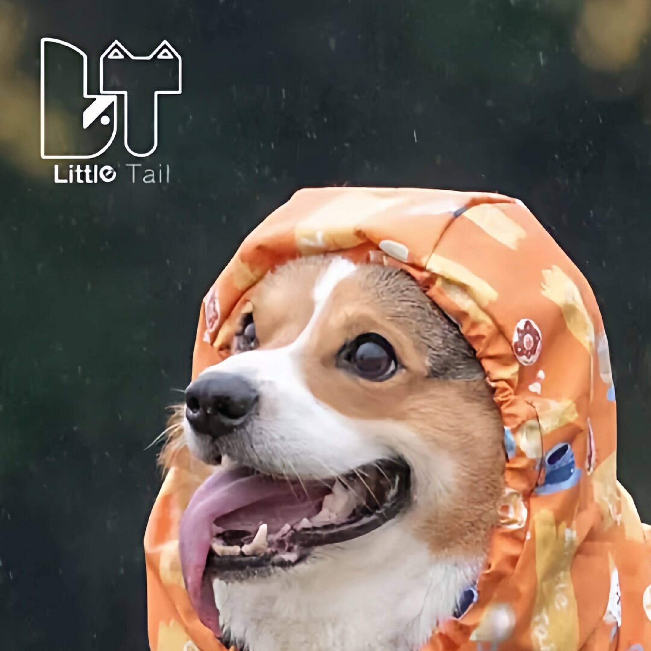 柯基全包防水雨衣宠物狗狗四脚雨披背开拉链护肚子挡脏可爱冲锋衣