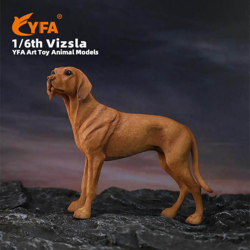 YFA模玩1/6维兹拉犬仿真狗模型维斯拉犬车载摆件维希拉猎犬Vizsla