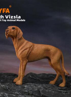 YFA模玩1/6维兹拉犬仿真狗模型维斯拉犬车载摆件维希拉猎犬Vizsla