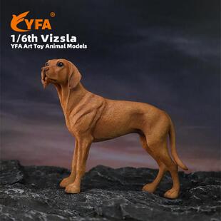YFA模玩1/6维兹拉犬仿真狗模型维斯拉犬车载摆件维希拉猎犬Vizsla