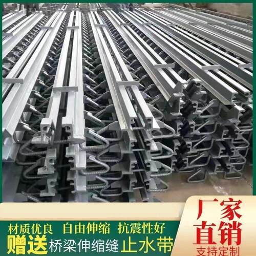 公路桥梁伸缩缝C40F60D80160240E型模数式装置RG异型钢桥面人行道