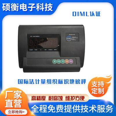 电子地磅称1-DCS-3T23工业物流高精度10V-40V英1文小型平台吨秤2