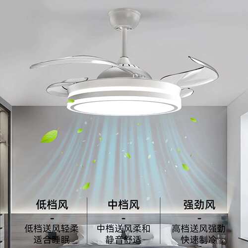 全光谱护眼灯具形加亮光源一灯两吊扇用扇灯led客厅卧室891隐风灯