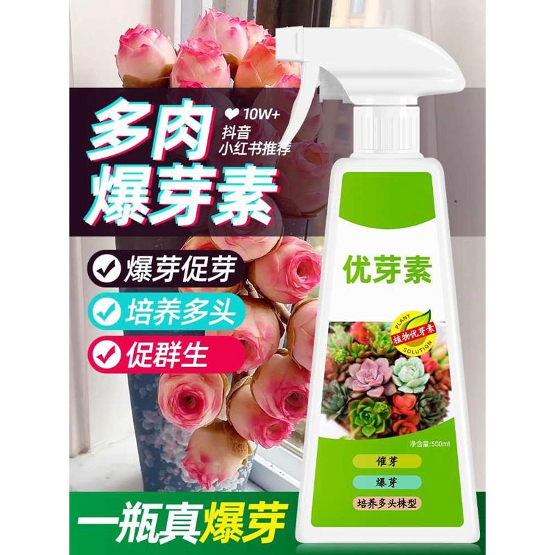 八个老头优芽素多肉专用促多头侧芽细胞分裂素促芽促生长催芽爆芽