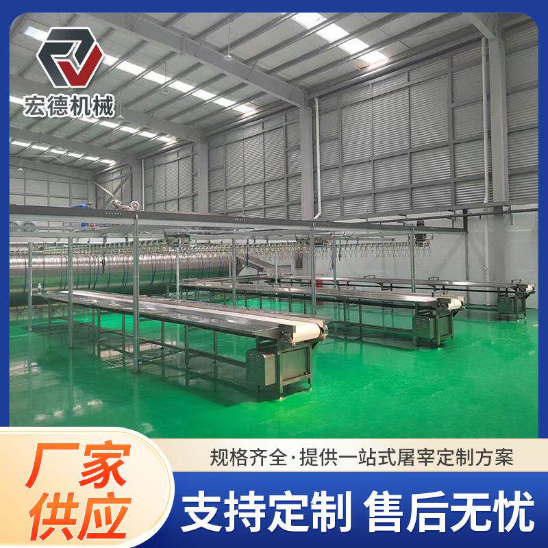 禽类立式自动脱毛机淘汰蛋鸡脱毛流水线配件脱毛机鸡屠宰专用