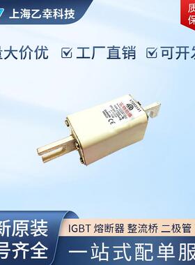 巴斯曼熔断器 170M3067 170M3068 170M3069 170M3070 170M3071