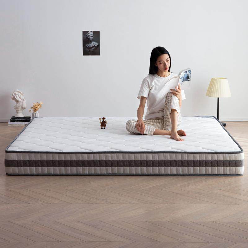 席梦思弹簧床垫软垫经济型1.5m1.8米椰棕垫软硬适中加厚20cm家用