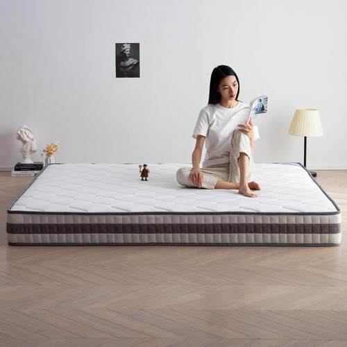 席梦思弹簧床垫软垫经济型1.5m1.8米椰棕垫软硬适中加厚20cm家用