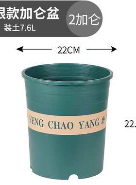 绿萝水培批发花盆塑料小大花瓶