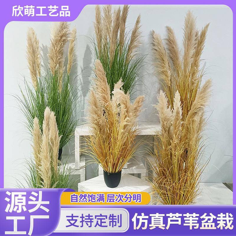 仿真芦苇蒲苇草盆栽户外仿真植物假绿植造景盆栽摆件仿真花艺造景