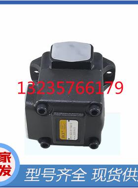 台湾KCL凯嘉叶片泵DVQ25-18-F-RAA-01 DVQ25-22/26/32-F-RAA-01