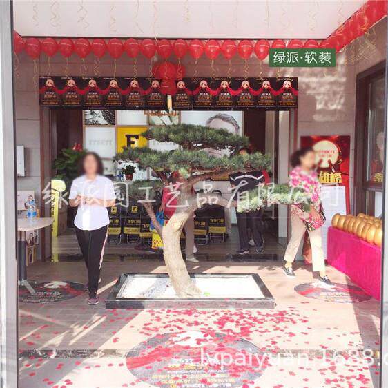 农家小院造景摆放仿真松树迎客松造型松柏树 人造五针松树绿植