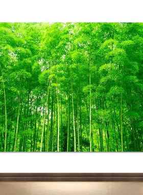 茂盛翠竹林风景画步步高升招财旺运旺业风水画绿色竹子竹报平安画