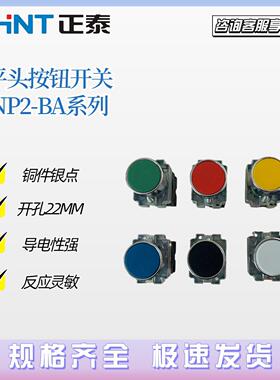 正泰平头按钮开关NP2-BA31 BA42 BA11 BA61 BA21点动按钮22MM金属