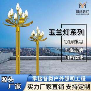 源头厂家8米10米led玉兰灯高亮度市政中华路灯广场大型景观灯