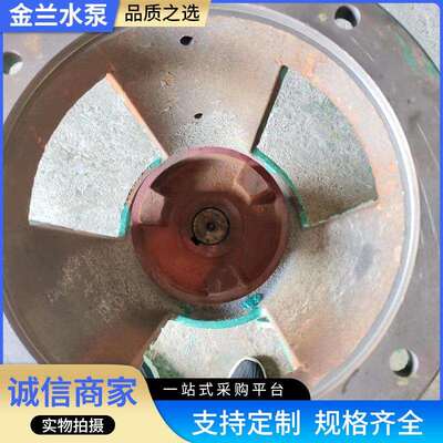 立式泵液下泥浆浆泵供应NL100-15加工排污铸铁污水YLS立式液下泥