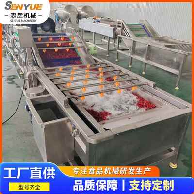 工厂用瓜果气蔬菜清洗机多功香能不锈钢泡清洗花椒菇洗MJB机菜机