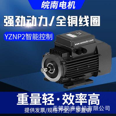 皖南电机YZNP2智能控制三相异步电机132kw160kw185kw200kw