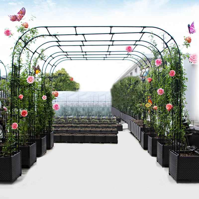 花架爬藤本架鲜花欧式铁线莲攀藤攀爬藤支柱月季拱门架子蔷薇花架