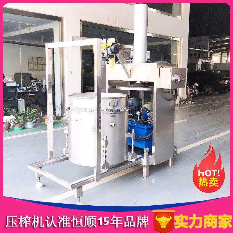 大型水果榨汁器 青梅鲜果果汁取汁压榨机 蓝莓酵素压滤机
