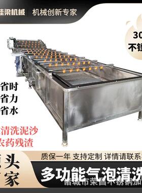全自动果蔬气泡清洗机大枣山楂清洗设备黄花菜菠菜梅干菜净菜水果