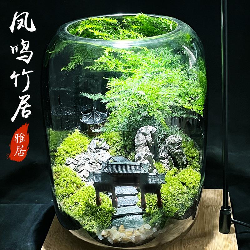 办公室盆栽玻璃瓶造景苔藓微景观生态瓶养鱼创意缸植物桌面小摆件
