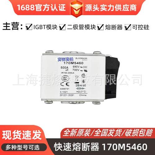 170M5460170M5462快速熔断器保险丝电子元器件量大价优
