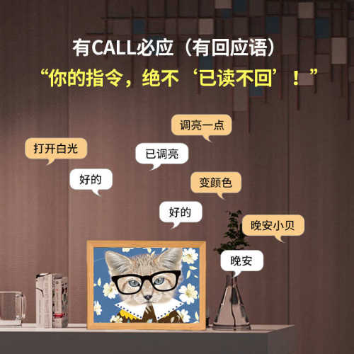 智能语音控制5V灯带灯光画开关套件 变色氛围灯带DIV趣味方言对话