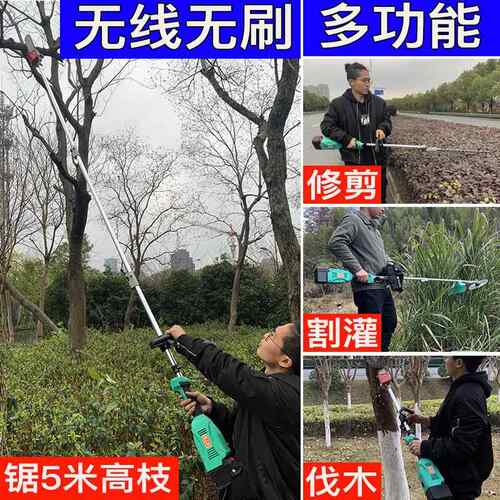 斯特加长高枝锯电动充式电STK-258高克修枝机农空用小型修剪机绿