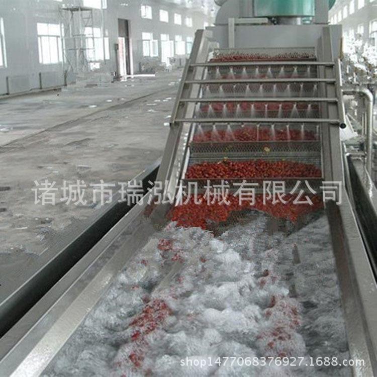 杏子清洗机苹果甜橙山楂气泡清洗机水果蔬菜加工清洗机械设备