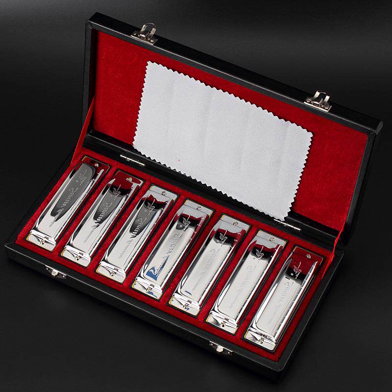 天鹅10孔布鲁斯套装口琴ABCDEFG7调套装12调套装吹奏乐器