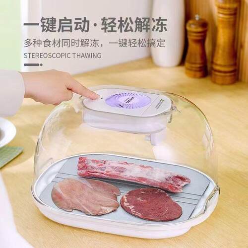 厨房解冻肉牛排解冻导热板急速解冻板食物解冻器家用食物解冻