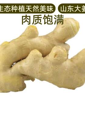 山东大姜老姜优质生姜月子姜风乾姜现挖鲜姜新鲜本地老黄姜包邮