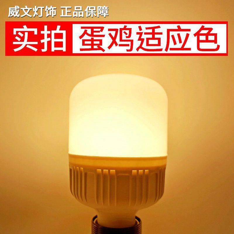 蛋鸡灯鸡舍照明节能灯泡养殖场专用LED灯蛋鸭补光防水正黄暖黄光