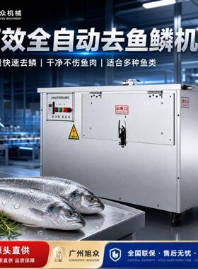 多功能秋刀鱼草鱼去鱼鳞机全自动脱鳞机不锈钢商用鱼鳞去除机设备