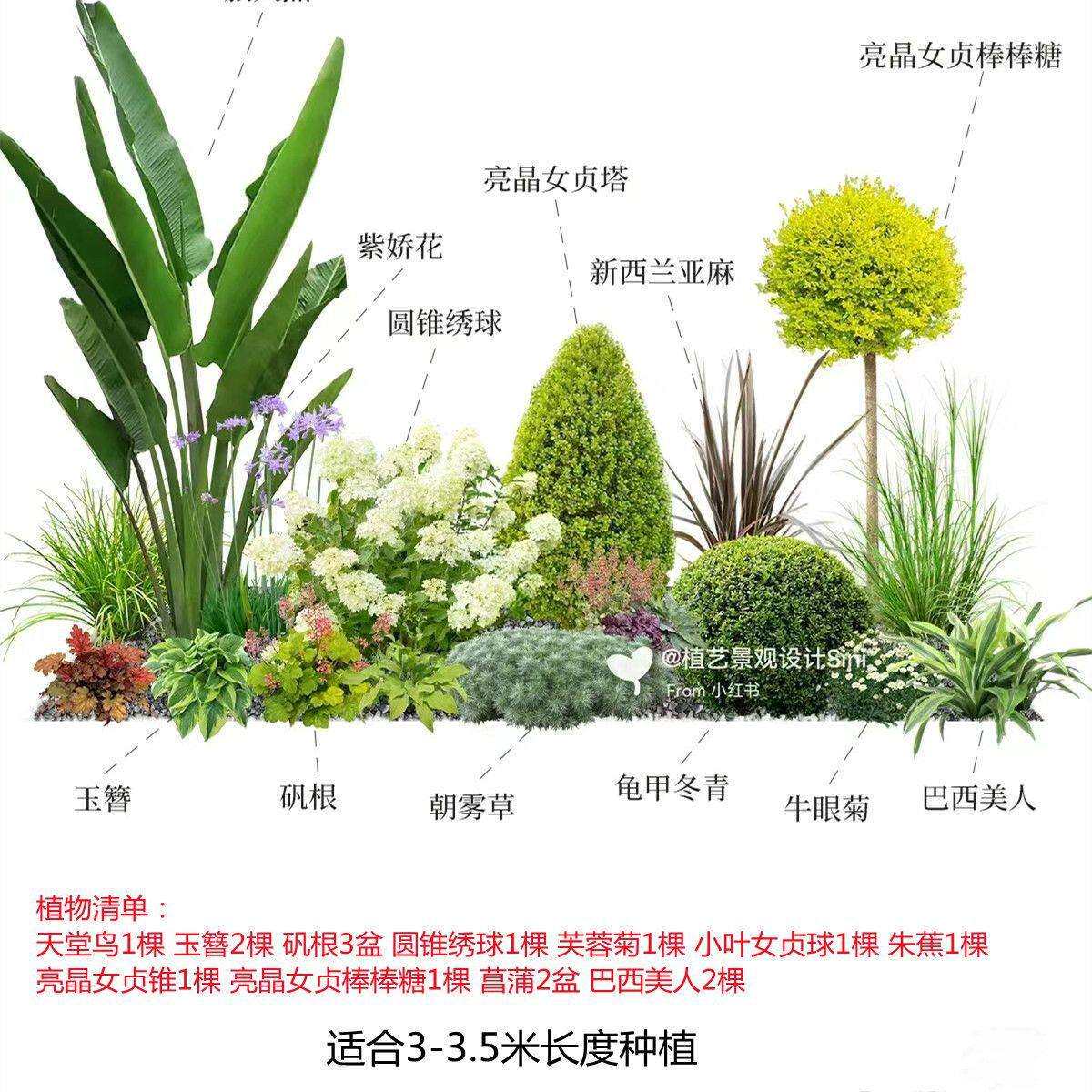 大型植物软装造景庭院花草装饰酒店餐厅角落园景套装仿真芦苇草堆