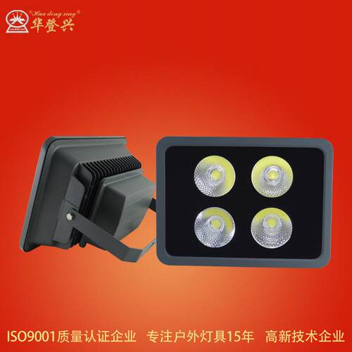 新款家用庭院灯500W大功率户外球场照明投光灯花园景观广场灯