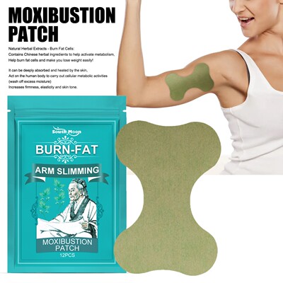 South Moon Arm Care Patch - Lazy Slimming Essence of Mugwort