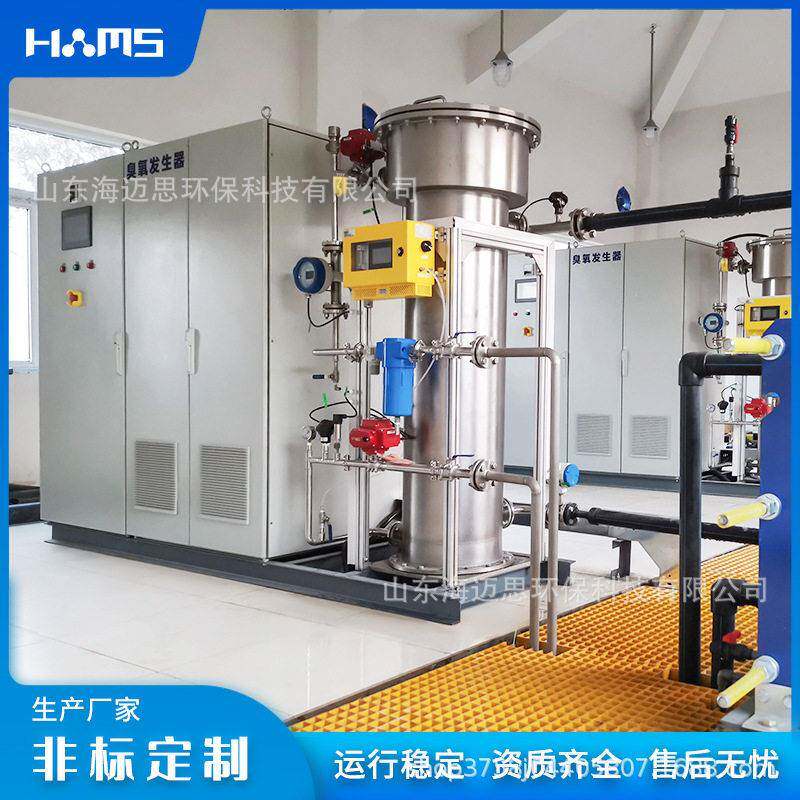 工业大型4kg臭氧发生器空气源氧气源臭氧机废水污水处理设备