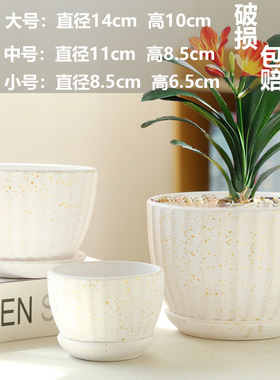 TEMU蝴蝶兰花盆陶瓷清仓大号花瓶