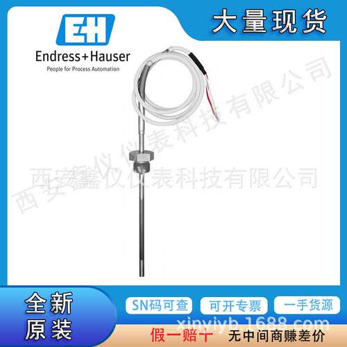 E+H RTDTST310 TST310-22A1A4F4B1A pt100铂电阻温度传感器精度