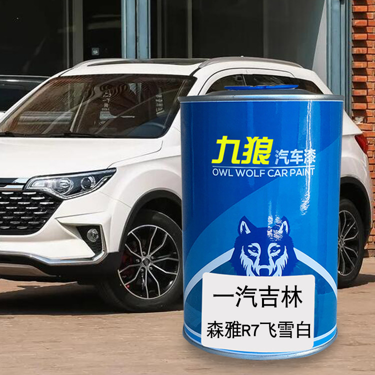 九狼汽车钣金全喷修补喷烤漆一油汽吉漆林飞雪白白色炫光银青花蓝